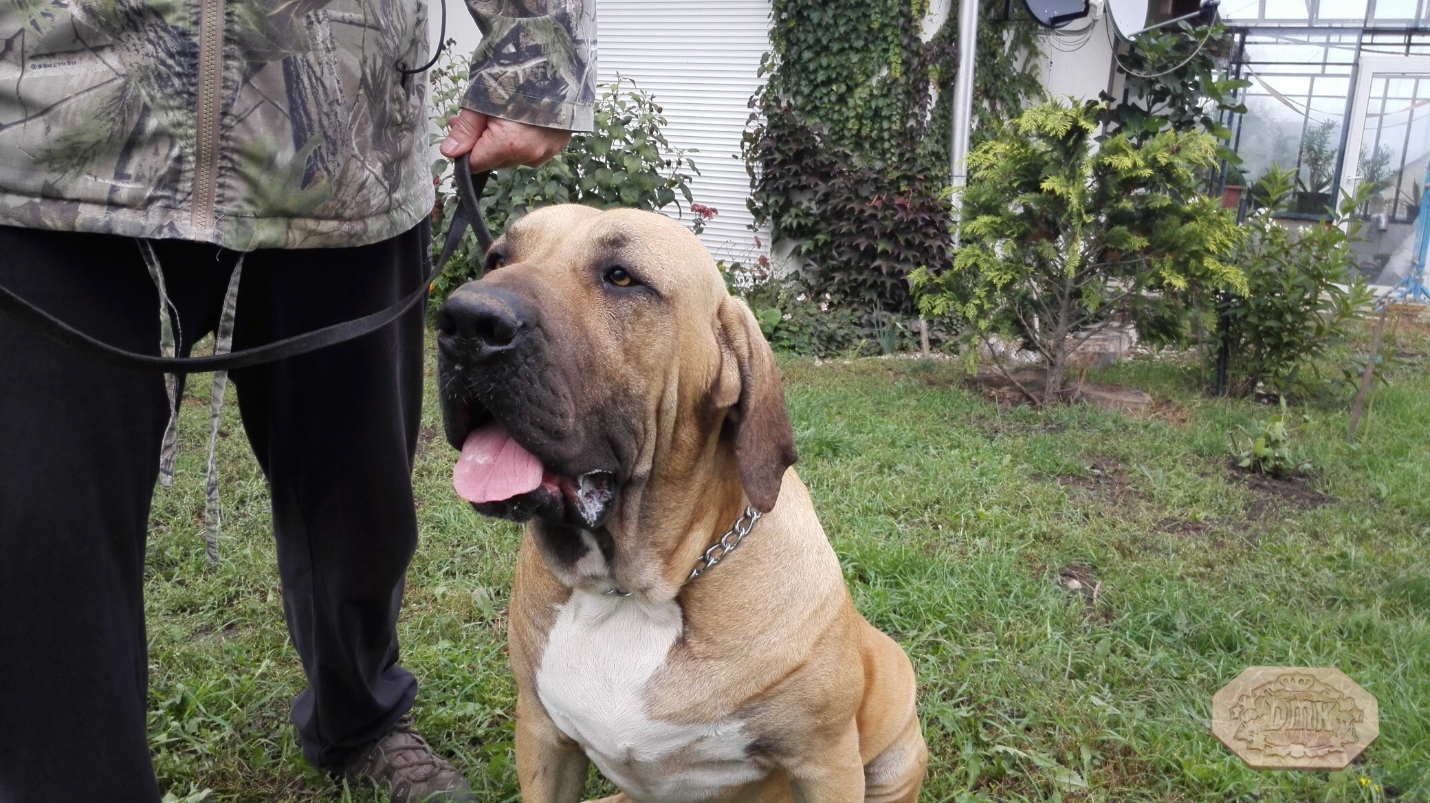 Kennel history