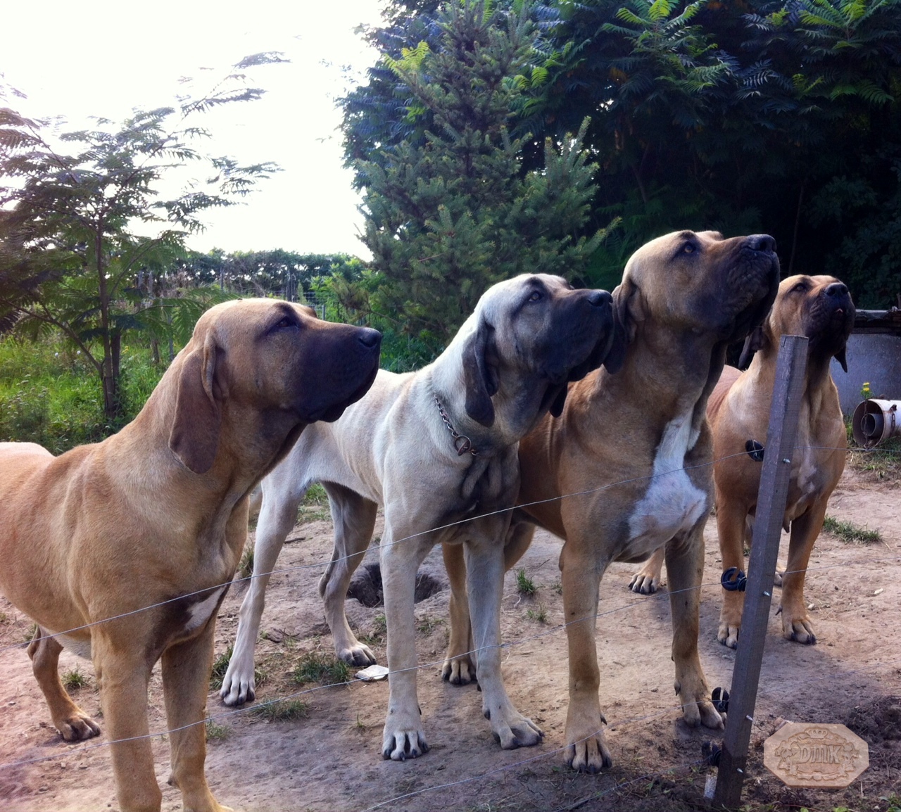 Breeding practices