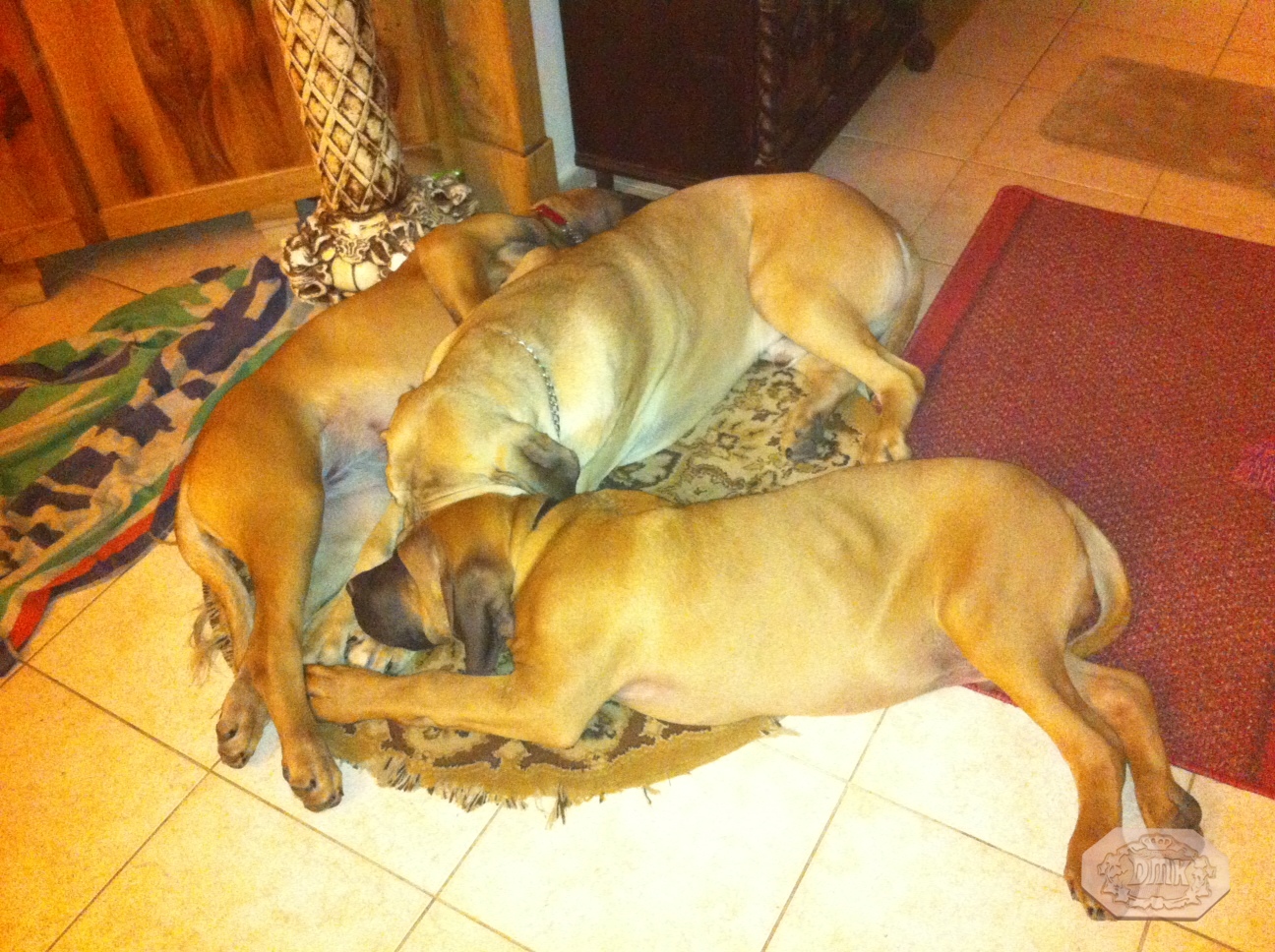 Breeding practices