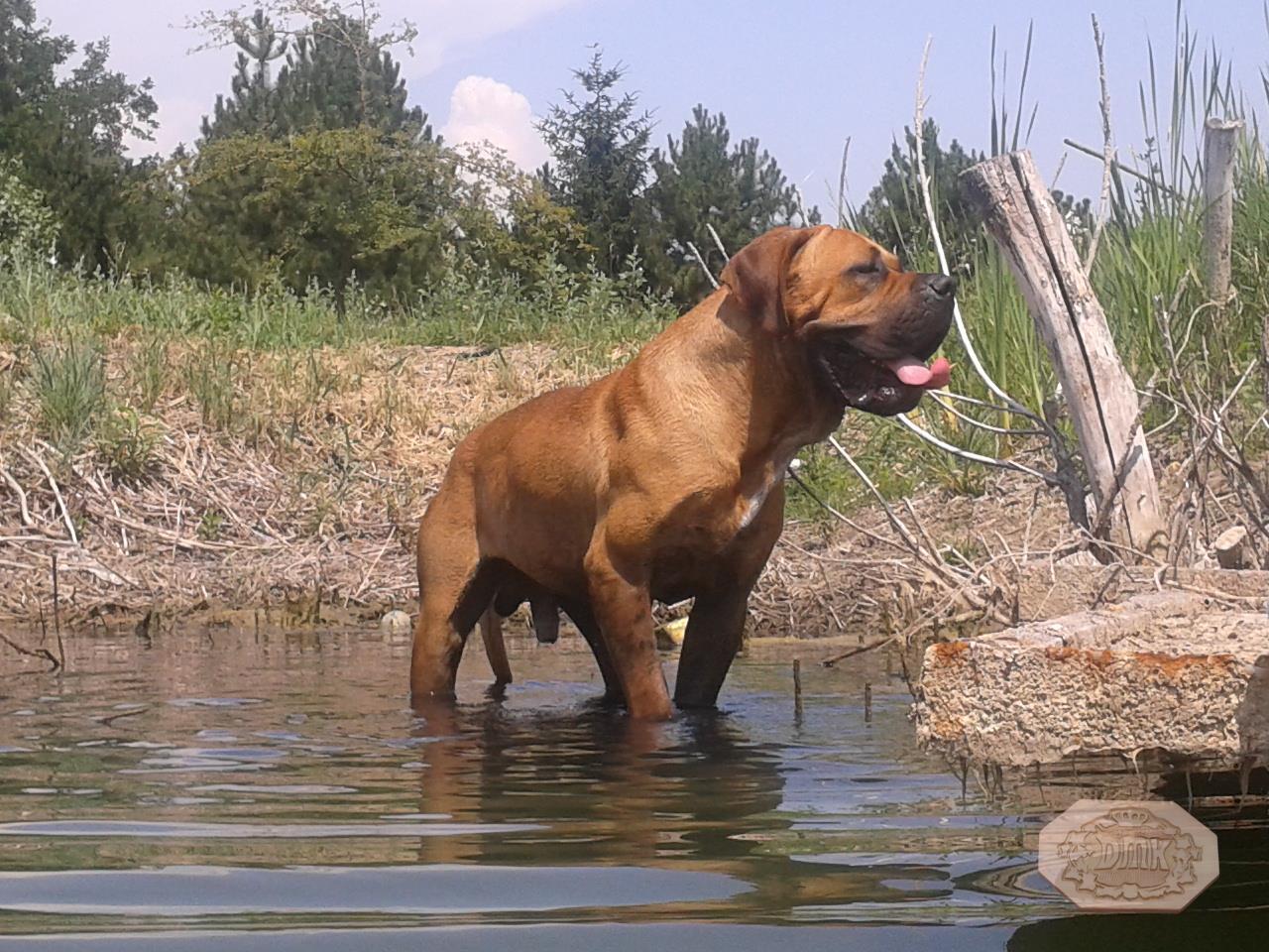 Mára elég a vízből