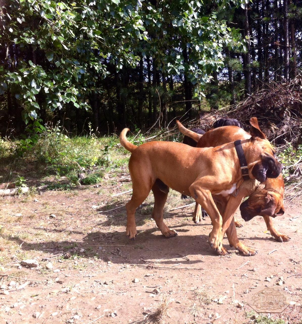 Mára elég a vízből